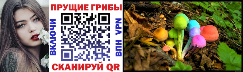 Купить где  Златоуст  Галлюциногенные грибы прущие грибы 